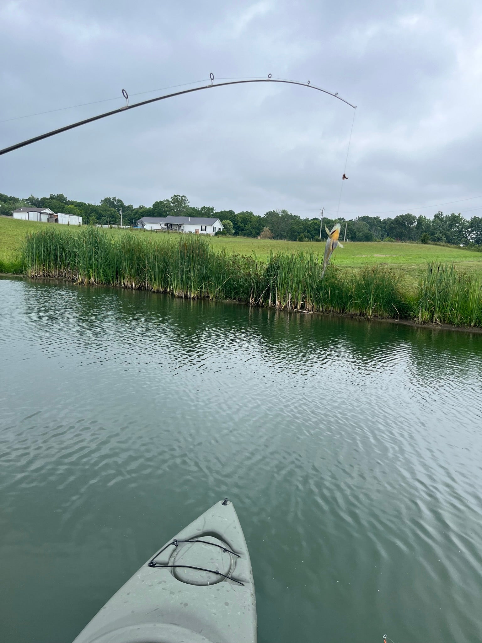 Fishing at Lulu's Farm